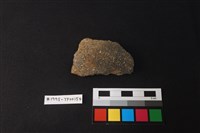 藏品(陶片)的圖片