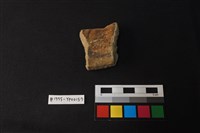 藏品(陶片)的圖片