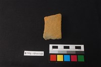 藏品(陶片)的圖片