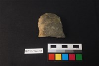 藏品(陶片)的圖片