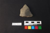 藏品(陶片)的圖片