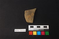 藏品(陶片)的圖片