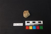 藏品(陶片)的圖片