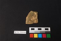 藏品(陶片)的圖片