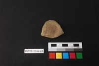 藏品(陶片)的圖片