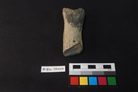 藏品(陶片)的圖片