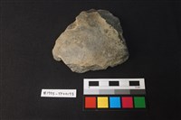 藏品(陶片)的圖片