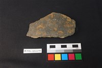 藏品(陶片)的圖片