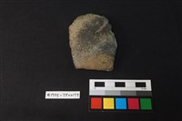 藏品(陶片)的圖片