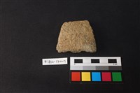 藏品(陶片)的圖片