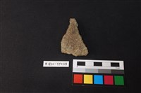 藏品(陶片)的圖片