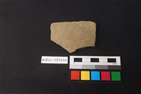 藏品(陶片)的圖片