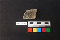 藏品(陶片)的圖片