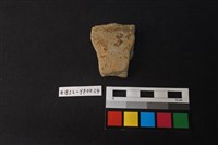 藏品(陶片)的圖片