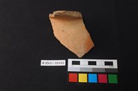 藏品(陶片)的圖片