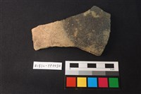 藏品(陶片)的圖片