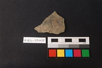 藏品(陶片)的圖片