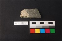 藏品(陶片)的圖片