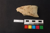 藏品(陶片)的圖片