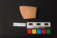 藏品(陶片)的圖片