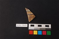 藏品(陶片)的圖片