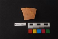 藏品(陶片)的圖片