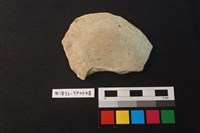 藏品(陶片)的圖片