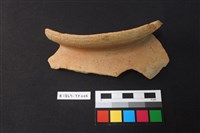 藏品(陶片)的圖片