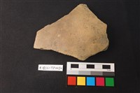 藏品(陶片)的圖片