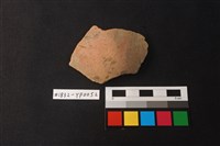 藏品(陶片)的圖片