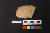 藏品(陶片)的圖片