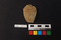 藏品(陶片)的圖片