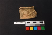 藏品(陶片)的圖片