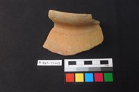 藏品(陶片)的圖片