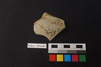 藏品(陶片)的圖片