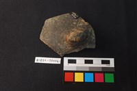 藏品(陶片)的圖片