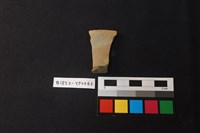 藏品(陶片)的圖片