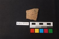 藏品(陶片)的圖片