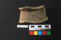 藏品(陶片)的圖片