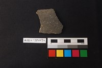 藏品(陶片)的圖片