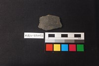 藏品(陶片)的圖片