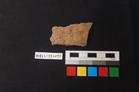 藏品(陶片)的圖片