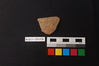 藏品(陶片)的圖片