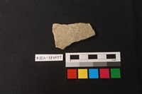 藏品(陶片)的圖片