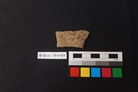 藏品(陶片)的圖片