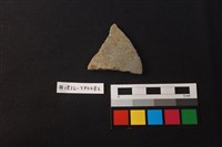 藏品(陶片)的圖片