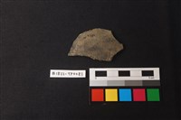 藏品(陶片)的圖片