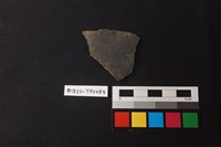 藏品(陶片)的圖片