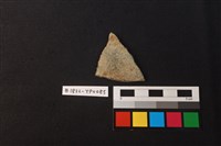 藏品(陶片)的圖片