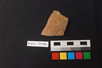 藏品(陶片)的圖片